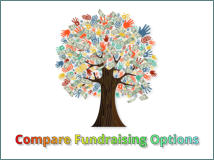 Compare Crowdfunding choices...